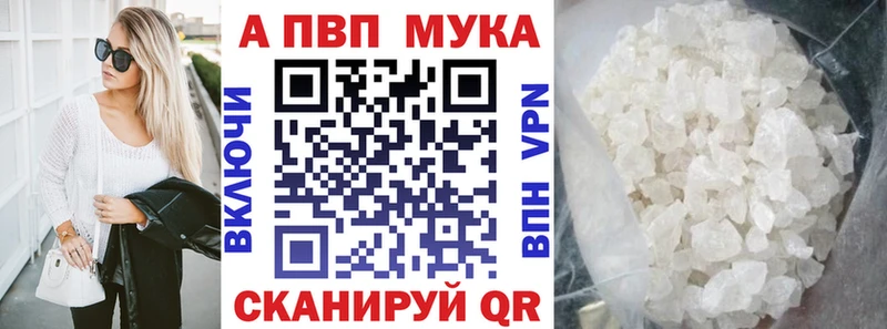 Альфа ПВП СК КРИС  ОМГ ОМГ зеркало  Светлогорск 