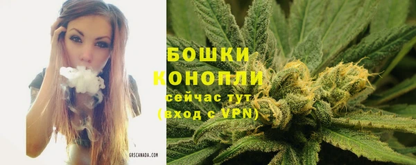 амф Белокуриха