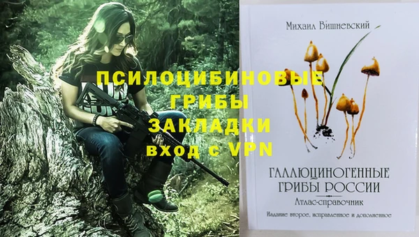 марки nbome Беломорск