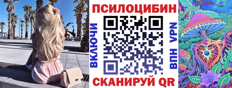 Галлюциногенные грибы Psilocybe  Светлогорск 
