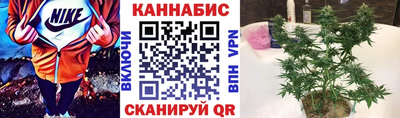 Конопля SATIVA & INDICA Светлогорск